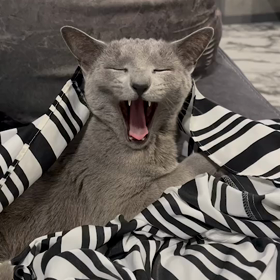 値上げ値上げ値上げ❗️の画像