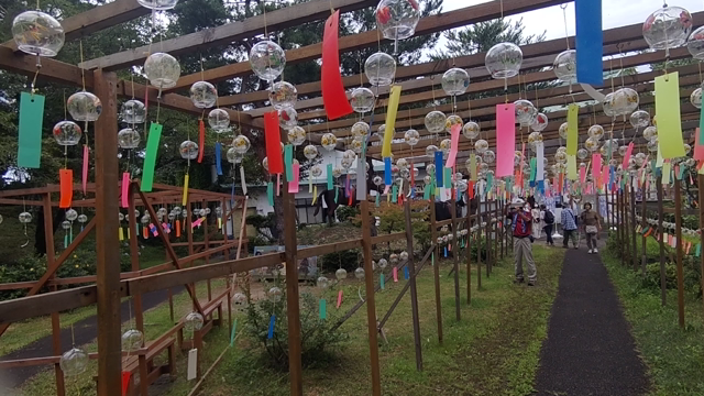 ②伊吹山から風鈴まつり、河内の風穴へ。の記事動画