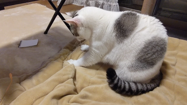 リタイア後を妄想して今日も行って来ます。の記事動画
