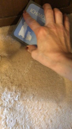 ダイソーの毛取りクリーナーの記事動画