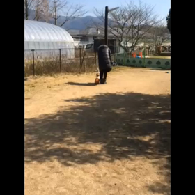 CANIS・AREA  カニスアレア前編♪の画像