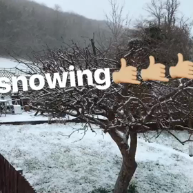 今日のイギリスの画像