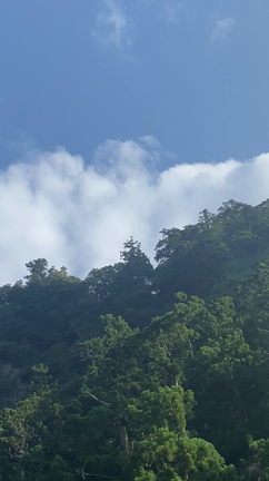夏越の大祓ヒーリング(ご利益ヒーリング個別メッセージ付きにお申込み者さま)の記事動画