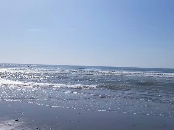 春は調子が不安定でも・・・の記事動画
