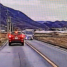 鹿の群れが道路横断の画像