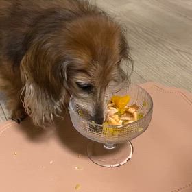 あなたの愛犬　一番幸せな時はいつ？の画像