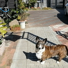 2023/03/16の画像