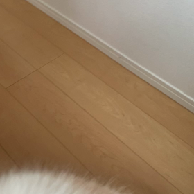 なんて賢いのかしらの画像