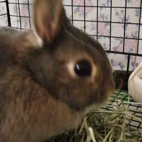 もぐもぐタイム☆の画像