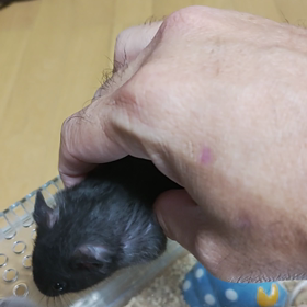 久しぶりにの画像