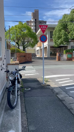 梅雨の晴れ間の記事動画
