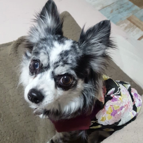 おっちゃん、朝の至福のひととき(*^^*)の画像