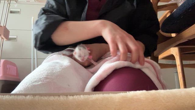 R8第一弾にゃん！の記事動画