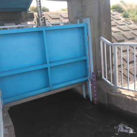 手賀沼から住宅地への逆流の画像
