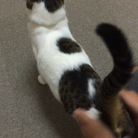 やっぱりお尻が好きの画像