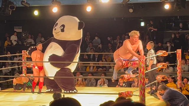 アップタウン旗揚げ戦、 2025/4/16 Up Town Launch Showの記事動画