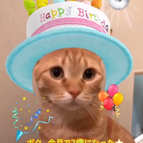 トラジローの誕生月でした！の画像