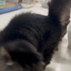 わーいわーい！おやつおやつーの画像
