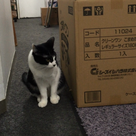 リラちゃん10ヶ月になりましたの画像