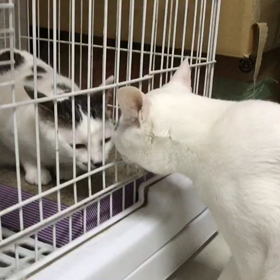 3ヶ月ぶりの親子の再会の画像
