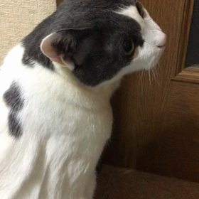 だからさ…の画像