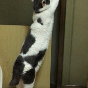 鍵の画像