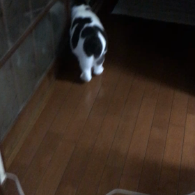 ムシ？ するよねーꉂꉂ(๑˃∀˂๑)の画像