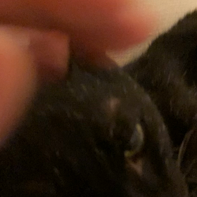 2023/06/14の画像