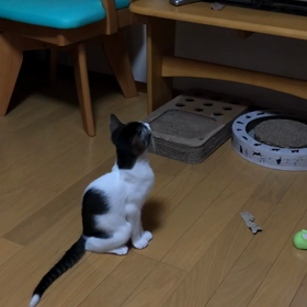 もしかして、テレビ出演❓の画像