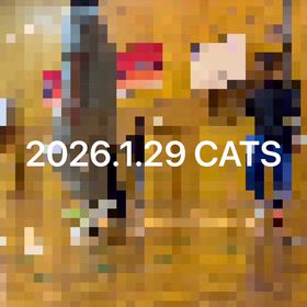 2026.1.29の画像