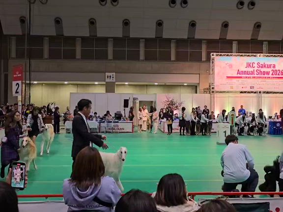 サクラアニュアルショー2026　その2の記事動画