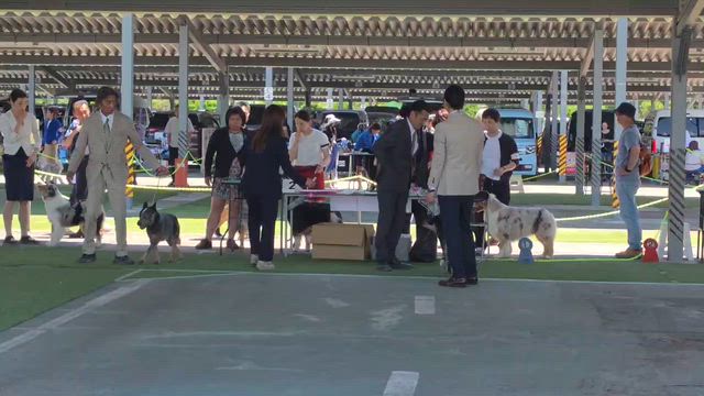 歴史的な出来事❣️の記事動画