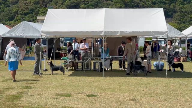 久しぶりのブログですの記事動画
