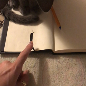 遊び方の速度 猫それぞれの画像