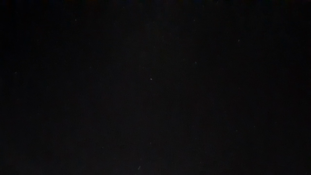 ２月　如月の記事動画