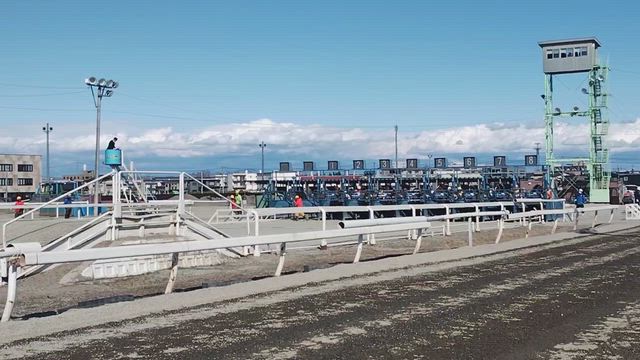【1泊2日】⑧お馬旅 帯広 ばんえい競馬 帯広空港(20260315)の記事動画