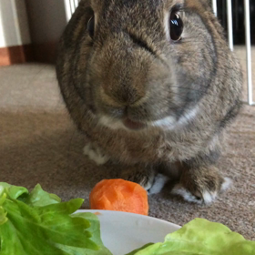 おやつは お野菜の画像