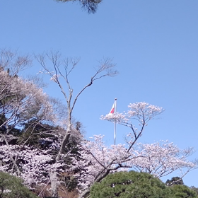 2023/03/28の画像
