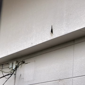 愛情の画像