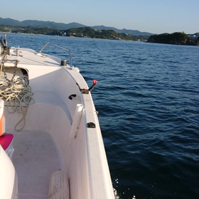 田辺湾 船釣り五目からの....❗の画像