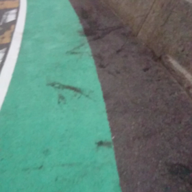アオリイカヤエン釣り  仕事帰り編の画像