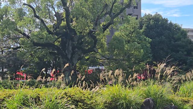 長政祭①の記事動画