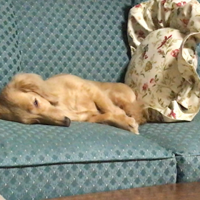 ほぼ静止画ですがの画像