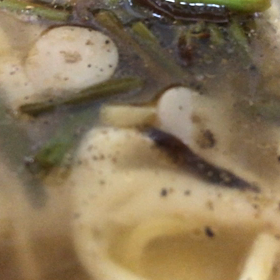 山菜チーズ麺♬の画像