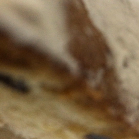 シュートレン♬の画像