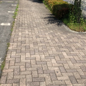 お昼なタイム(≧▽≦)ノの画像