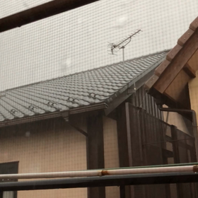 神秘的な自然界の音色♬の画像