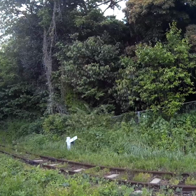 トンネルから或る列車の画像
