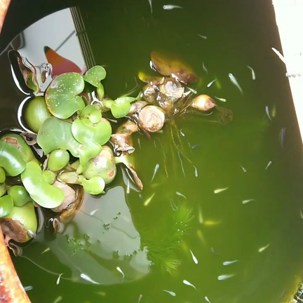 気づくと…の記事動画
