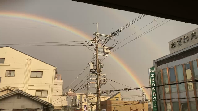 虹❗の記事動画